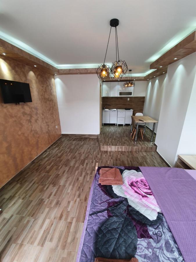 Studio Apartment Lalovic Жабляк Экстерьер фото